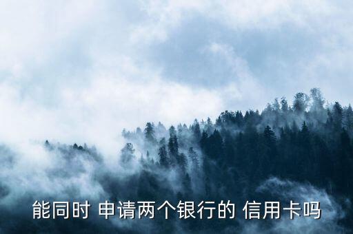 同一时间段申请几张信用卡