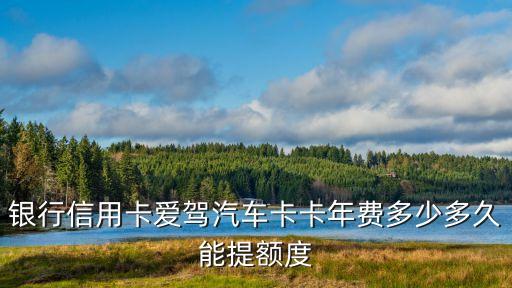银行信用卡爱驾汽车卡卡年费多少多久能提额度