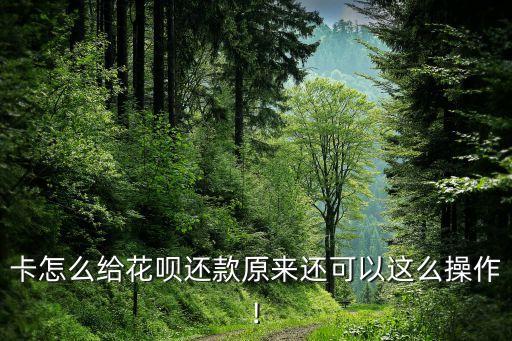 卡怎么给花呗还款原来还可以这么操作!