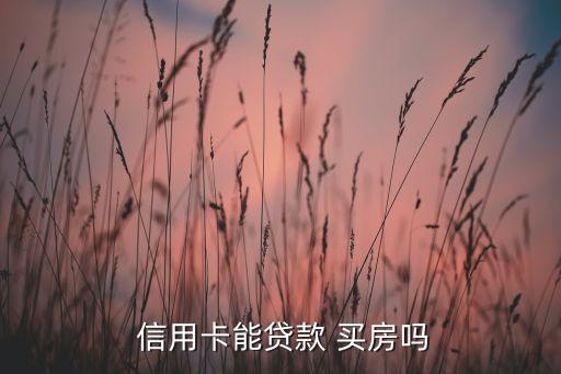  信用卡能贷款 买房吗