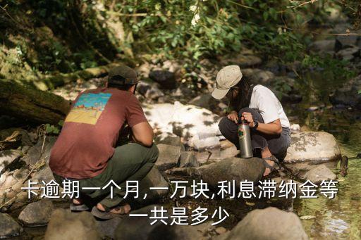 卡逾期一个月,一万块,利息滞纳金等一共是多少