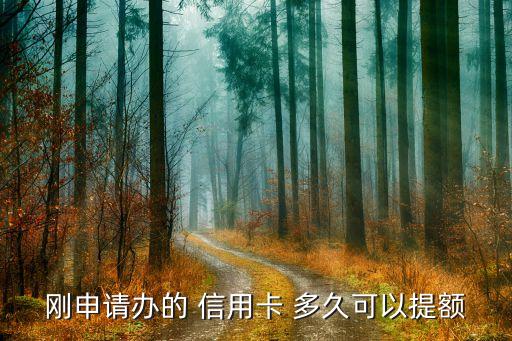 刚申请办的 信用卡 多久可以提额