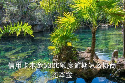 信用卡本金5000额度逾期怎么协商还本金