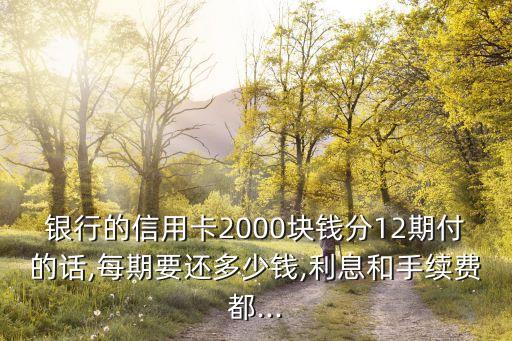 银行的信用卡2000块钱分12期付的话,每期要还多少钱,利息和手续费都...