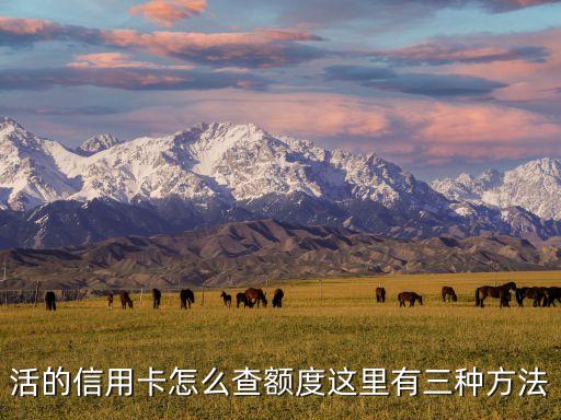 活的信用卡怎么查额度这里有三种方法