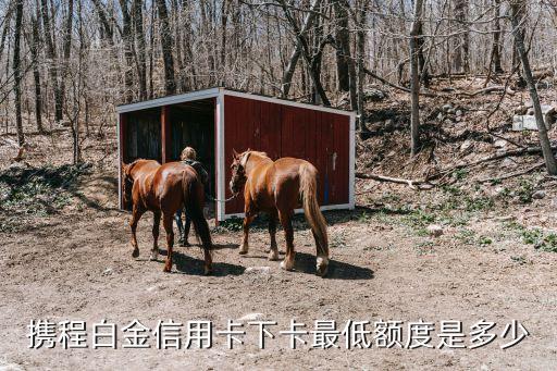 携程白金信用卡下卡最低额度是多少