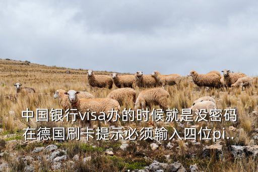 中国银行visa办的时候就是没密码在德国刷卡提示必须输入四位pi...