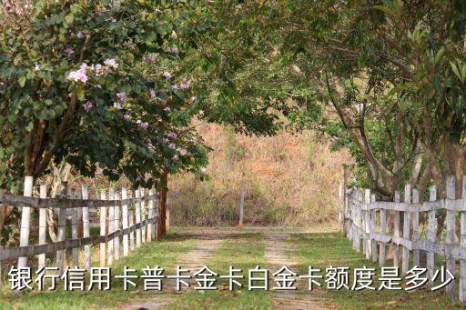 银行信用卡普卡金卡白金卡额度是多少