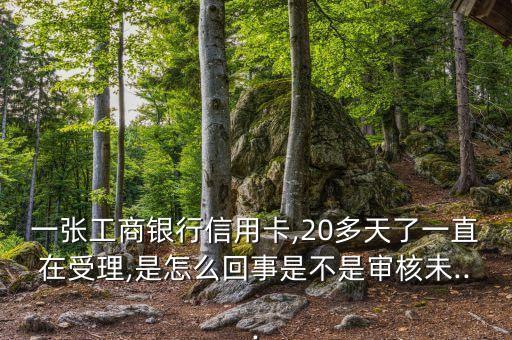 一张工商银行信用卡,20多天了一直在受理,是怎么回事是不是审核未...