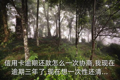 信用卡逾期还款怎么一次协商,我现在逾期三年了,现在想一次性还清...