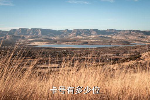 卡号有多少位