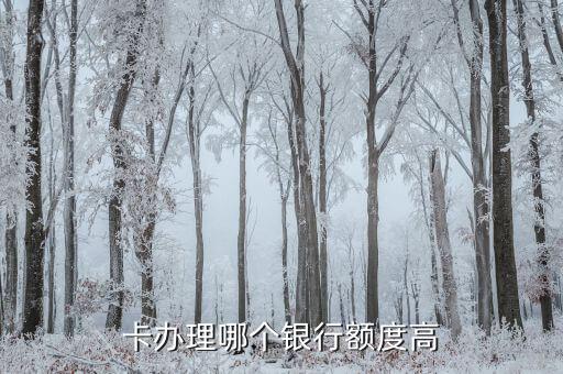 哪个信用卡的额度高一些,信用卡额度会更高