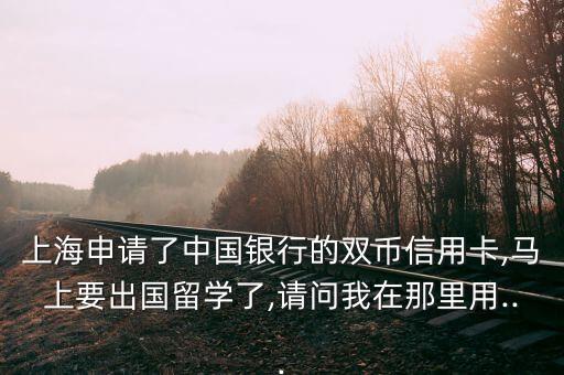 上海申请了中国银行的双币信用卡,马上要出国留学了,请问我在那里用...