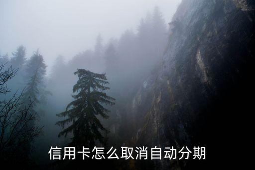 信用卡怎么取消自动分期