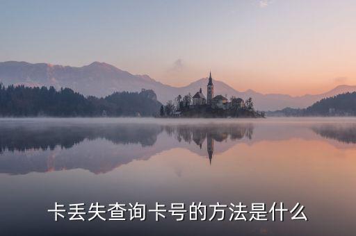 卡丢失查询卡号的方法是什么