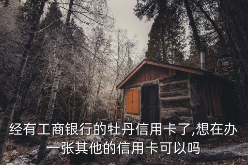 经有工商银行的牡丹信用卡了,想在办一张其他的信用卡可以吗