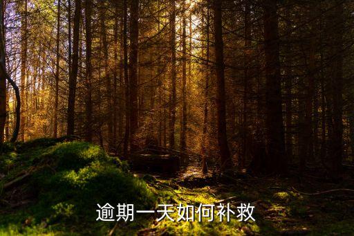 逾期一天如何补救