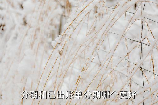 分期和已出账单分期哪个更好