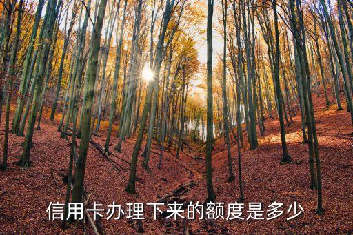 信用卡办理下来的额度是多少