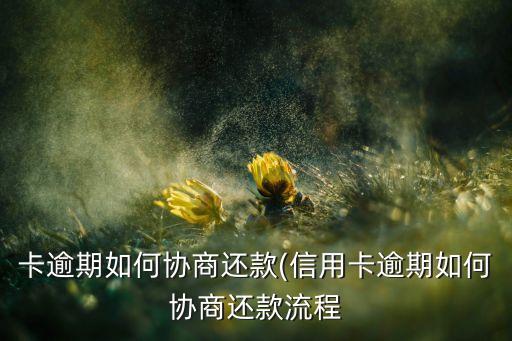 卡逾期如何协商还款(信用卡逾期如何协商还款流程