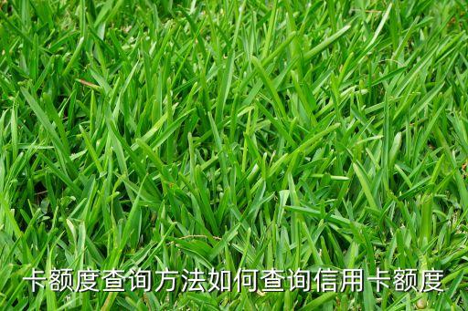 卡额度查询方法如何查询信用卡额度