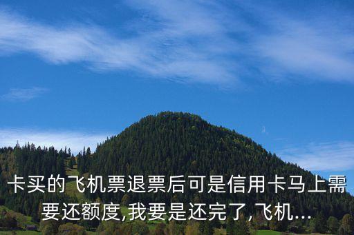 卡买的飞机票退票后可是信用卡马上需要还额度,我要是还完了,飞机...