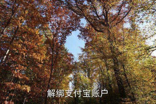 解绑支付宝账户