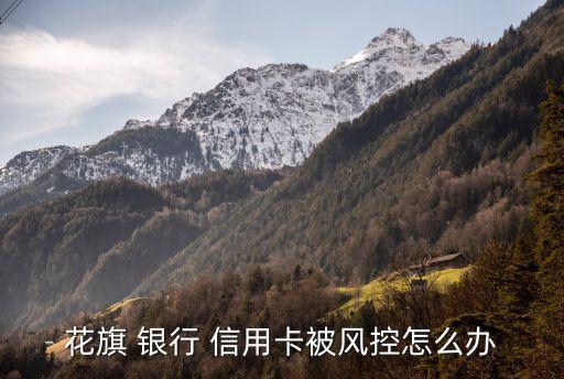 花旗 银行 信用卡被风控怎么办