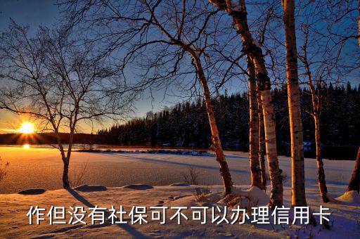 作但没有社保可不可以办理信用卡
