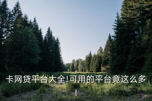 卡网贷平台大全!可用的平台竟这么多!
