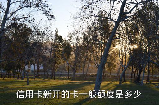 信用卡新开的卡一般额度是多少