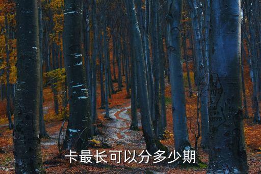 卡最长可以分多少期