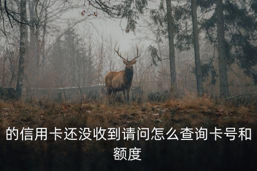 的信用卡还没收到请问怎么查询卡号和额度