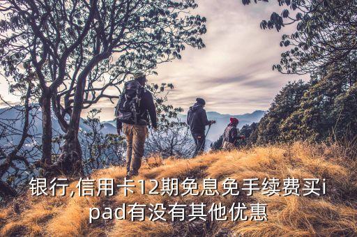 银行,信用卡12期免息免手续费买ipad有没有其他优惠