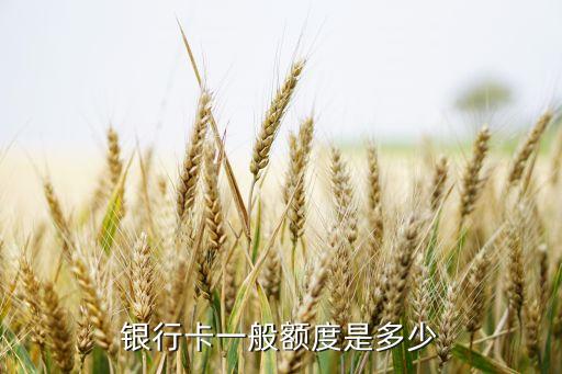 银行卡一般额度是多少