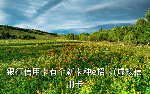 银行信用卡有个新卡种e招卡(虚拟信用卡
