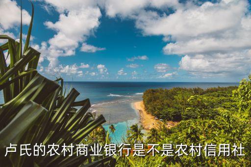 卢氏县都能申请什么信用卡,18岁申请信用卡什么好