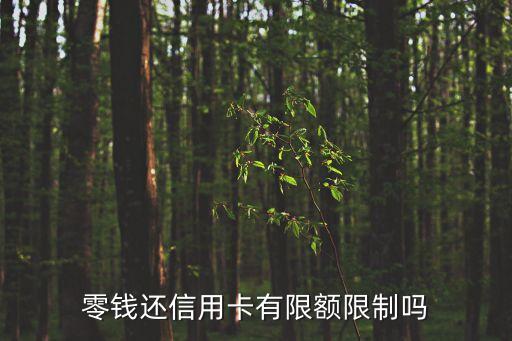 零钱还信用卡有限额限制吗