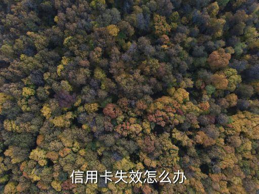 中信银行信用卡维护吗,中信银行今日维护通知