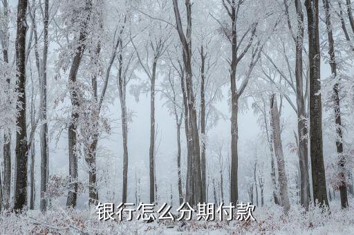 银行怎么分期付款