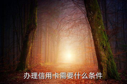 办理信用卡需要什么条件
