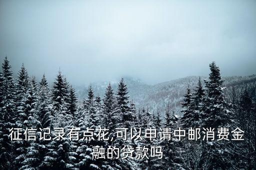 征信记录有点花,可以申请中邮消费金融的贷款吗