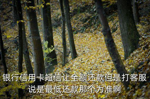 银行信用卡短信让全额还款但是打客服说是最低还款那个为准啊