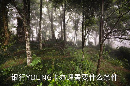 银行YOUNG卡办理需要什么条件