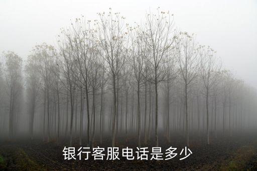 银行客服电话是多少