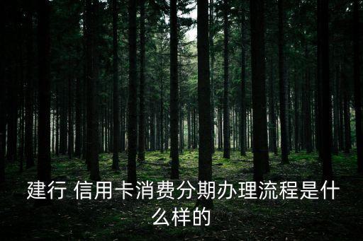  建行 信用卡消费分期办理流程是什么样的