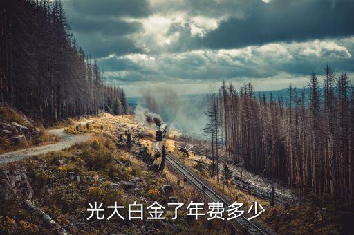 光大白金了年费多少