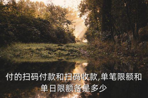 付的扫码付款和扫码收款,单笔限额和单日限额各是多少