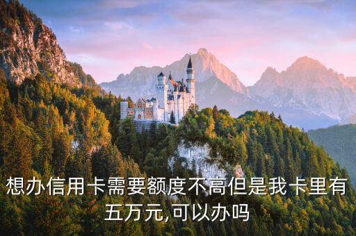 想办信用卡需要额度不高但是我卡里有五万元,可以办吗
