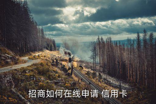 延安招商银行信用卡办理